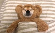 365天不停留，最终回归归家记：我在一年中的心路历程