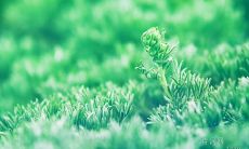 - 让你振奋的励志名言:激励你前进的至理名言和动人语句!
