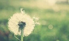 让人心碎的美丽诗句和句子