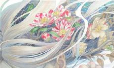 无限温暖的感情纽带——闪耀着友情魅力的精彩句子