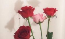 分享一些温馨的三八妇女节祝福语:让您的爱和关怀表达得更加充分和深刻!