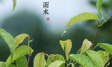 唯美雨水节气祝福语图片,带给你温馨祝福和美好回忆!