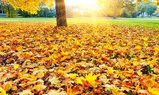 骁勇喊话，口令铿锵，笃定军心，部队八字口号惊人韵味！