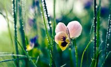 用厉害的词汇押韵创造的比赛口号，充满力量，有八个字，非常有吸引力！