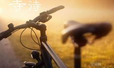 无论何时何地,持续践行诚信,始终推崇真诚、正义和透明度,将成为我们不断追求自我进步和激励自己的一种坚定信念和励志名言