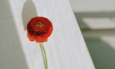 追忆逝去的爱情：分别半年后，再次联系对方，以求得重拾往日恋曲所需之号码