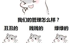 万象,创意无限,飞跃梦想的队名和口号完整汇总,让你感受阳光般璀璨的灵感世界!