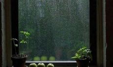 在雨中欢快地翩然舞动：愉悦的心情在雨中得以释放！