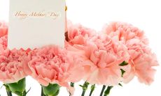 在母亲节，用心祝福妈妈的各种充满爱意的慷慨陈词满篇的话语