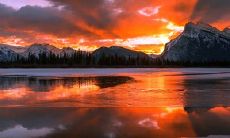 友情陪伴的重要性：简短但深刻的句子探索