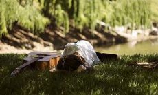 2022清明节已过，但想必大家还记得清明过后的五一假期，那么请问：还会有更长的假期到来吗？这时，许多人都会心生疑惑：2022清明节放假之后，我真的不想上班该怎么办呢？下面分享一些让你舒缓焦虑情绪的说说