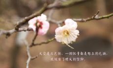 失望的句子表达爱人令人心碎的情感,令人感伤和悲痛的短语