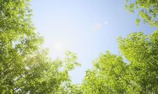 班级小组名字和口号创意十足,简直令人惊叹!