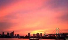 如何用巧妙的语言和方法劝导朋友走出情场失意的迷茫状态?