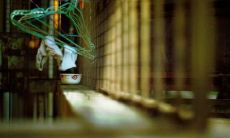 2022清明节特别推荐：适合发朋友圈的29句经典说说，让你表达对逝者的思念与追思之情