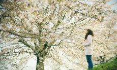 探索一个人因感情失望而抒发内心感受的情感句子