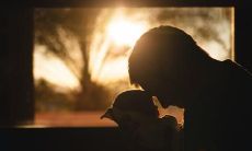 如何用句子表达和传递亲情的感受?一篇有关亲情的句子排序教你如何诉说爱的情感