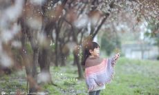 感人至深的亲情之路，令人陶醉的唯美语句