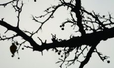 如何表达让家人失望的感受并寻求解决方法