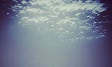 表达对不忠男生的失望之情：当我信任一个花心男子并给予他全部信赖时，发现他的不忠行为令我深感失望