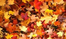 一些让人感到烦躁不安的经典句子