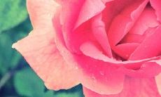 深情款款，充满温馨：读懂亲情之美的最佳句子推荐！