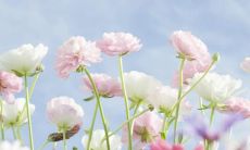 探索人类亲情的重要性、影响力和深度的一个句子集合