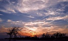 可以尝试这样改写:享受一杯美酒,释放心灵的烦恼和忧虑,重获内心的宁静和平和