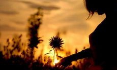 抑郁沮丧，内心疼痛，思维混乱的表达方式