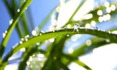 22句鼓舞你情感表达的句子，助你更好地传递内心真实情感！