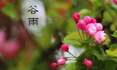 一则来自谷雨的长篇朋友圈:探讨社交媒体的消极影响及其与心理健康的关系