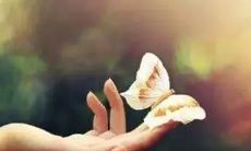 一成不变的标题如何改写：用排比句子纵论技巧的重要性和运用的方法，以达到创新和差异化的效果