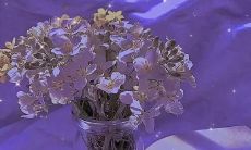 用个性化名字打造温柔别致的网络昵称