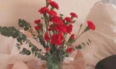 至爱之言——感性情感表达的简短语句