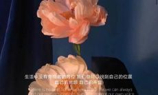 探讨女孩子最正三观的一句话:关于与他人的感情,自己的成长和价值观的综合评估