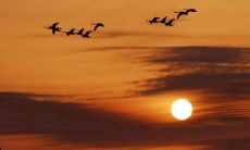 搜寻那些让人深感懊悔的表达方式：寻觅后悔万分的句子