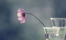 洋溢着温暖与柔情的雨天：探讨雨天带来的温馨感受及其文化内涵