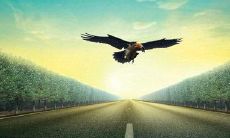 探究人们对未来所抱有的美好憧憬：解析关于追寻未来的经典名言