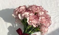 用八个汉字简短语言疗愈身心：干净治愈八字短语技巧