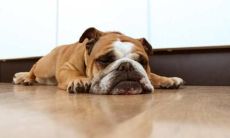 无聊的句子：探究引起人们沉闷、不悦、乏味的语言表达方式