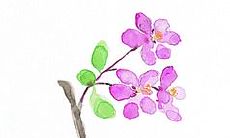 哀伤离别引发的友情忧伤:富含悲伤情感的表达句子