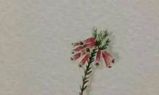 珍贵:随着时间推移,友情以上电影句子所带来的认识和思考越加珍贵