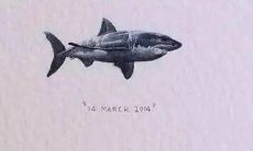 30年情谊：细腻呈现闺蜜间恒久牵挂的情感史诗