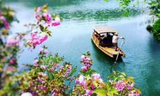 探究如何选择适合风景照的句子以提升照片美感和艺术价值