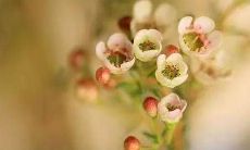 珍惜友谊与缘分的经典句子，让我们铭记珍爱人与人之间宝贵的情感纽带！