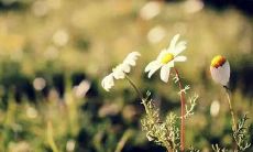 失望友情的抒情句子，表达内心感受求取帮助