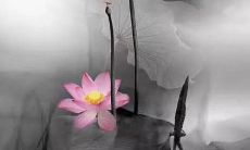 友情就像是一杯美酒，随着时间的沉淀，越发醇香浓厚，越发能滋养人心灵