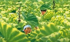 探寻经典电影《菊次郎的夏天》中使人至今难忘的台词