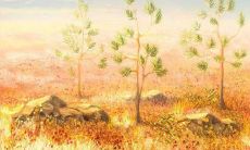 用珍贵的句子倾诉心情 -- 表达对友情的珍惜和赞美