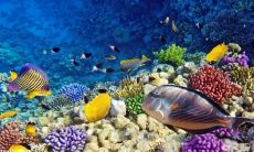 在爱情公寓中,关于友情的经典台词和感人句子汇总